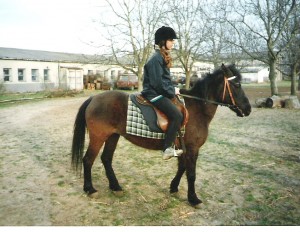 Obrazek